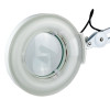 Wapozon Bn-707+ Lampa + Lupa