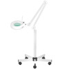 Zestaw Fotel 210 + Lampa Lupa Led S5 + Taboret 302