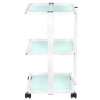 Fotel Kosmetyczny 202 Basic + Stolik Kosmetyczny 1040 + Lampa Lupa Led S5
