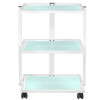 Fotel Kosmetyczny 202 Basic + Stolik Kosmetyczny 1040 + Lampa Lupa Led S5