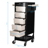 Gabbiano Pomocnik Fryzjerski Ft65 Black/white