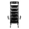 Gabbiano Pomocnik Fryzjerski Fx11 E Black