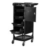 Gabbiano Pomocnik Fryzjerski Fx10 C Black