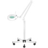 Lampa Lupa Led S5 + Statyw Led Reg. Natężenie Światła 
