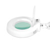 Lampa Lupa Led S5 + Statyw Led Reg. Natężenie Światła 