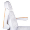 Fotel Elektryczny Lux Pedicure Bg-273 E 5 Silników