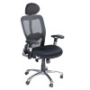Fotel Ergonomiczny Corpo Comfort Bx-4029 a Czarny
