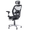 Fotel Ergonomiczny Corpo Comfort Bx-4036 Czarny