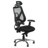 Fotel Ergonomiczny Corpo Comfort Bx-W4310 Czarny