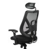 Fotel Ergonomiczny Corpo Comfort Bx-W4310 Czarny
